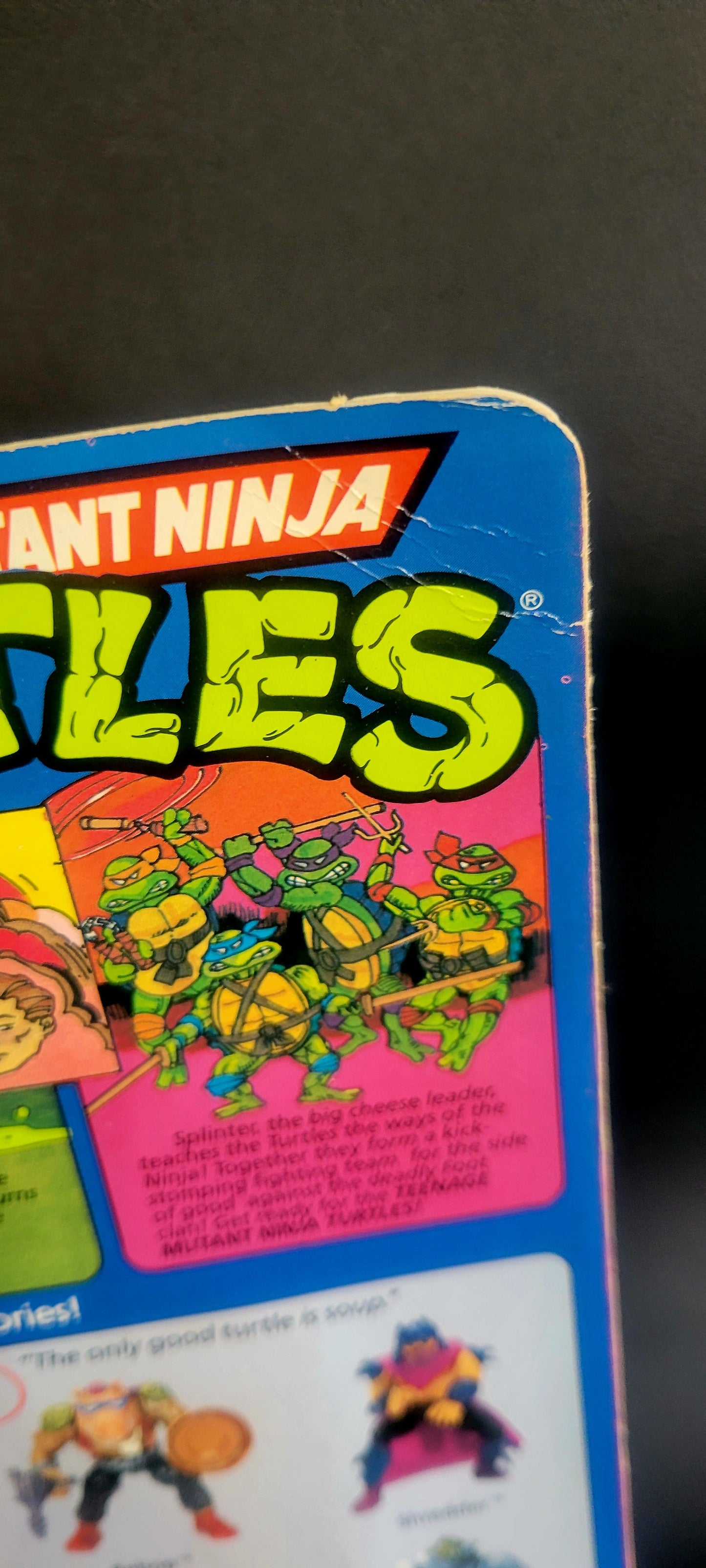 TMNT - VINTAGE 1988 Sealed 10 Back Donatello