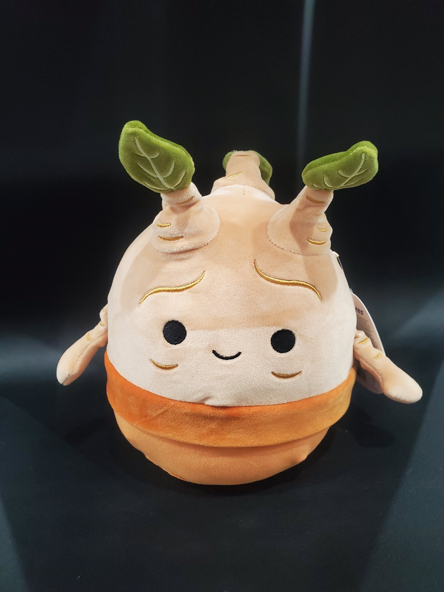 Squishmallow - Mandrake 8"