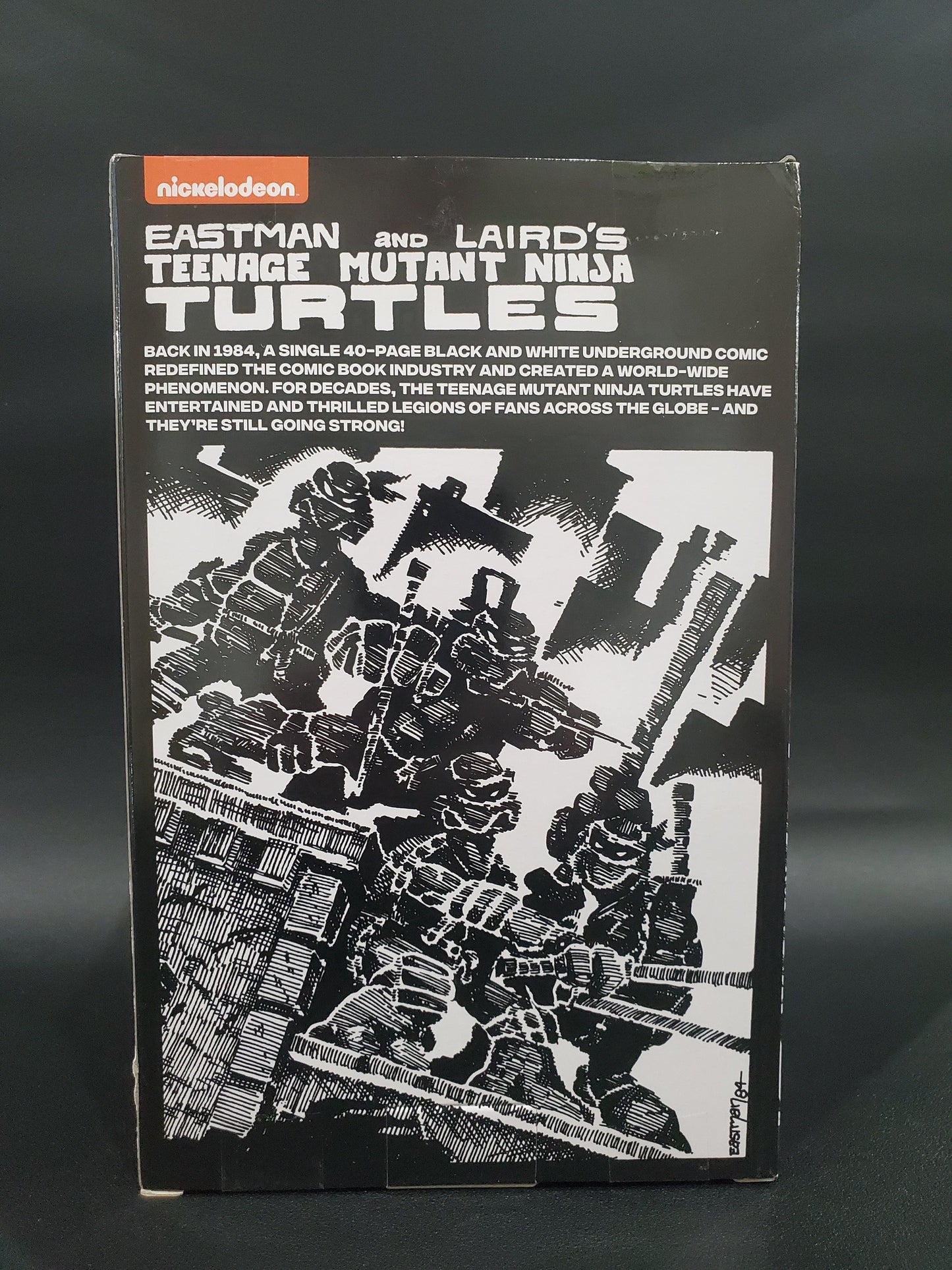 TMNT - Eastman and Laird's 1984 Comic Book Michelangelo